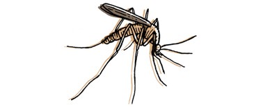 Ер мен әйелдің қолмен салынған эротикасы Орыс порно әйелдер лесбиянки